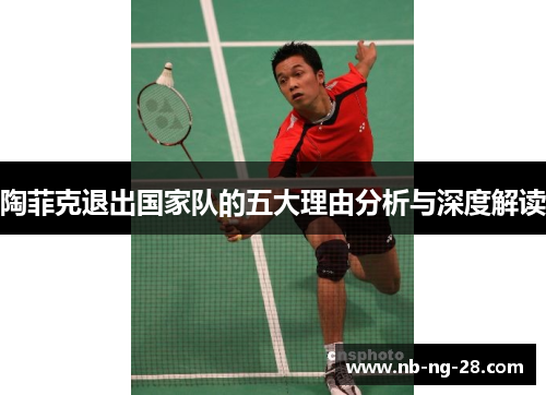 陶菲克退出国家队的五大理由分析与深度解读