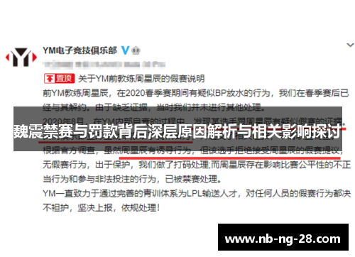 魏震禁赛与罚款背后深层原因解析与相关影响探讨