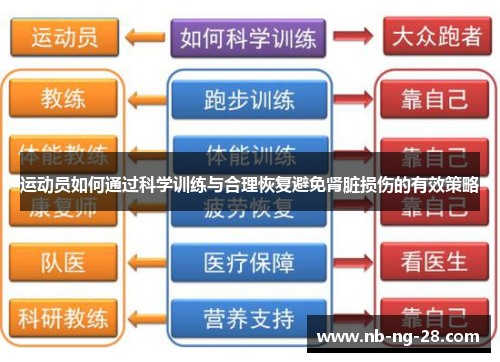 运动员如何通过科学训练与合理恢复避免肾脏损伤的有效策略
