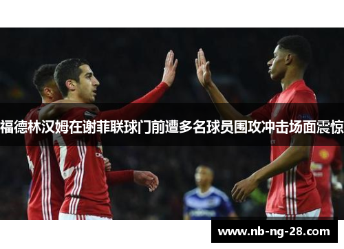 福德林汉姆在谢菲联球门前遭多名球员围攻冲击场面震惊