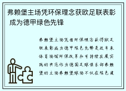 弗赖堡主场凭环保理念获欧足联表彰 成为德甲绿色先锋